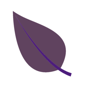 Karlee Rose | Emotional, Spiritual, & Mental Healing | BC